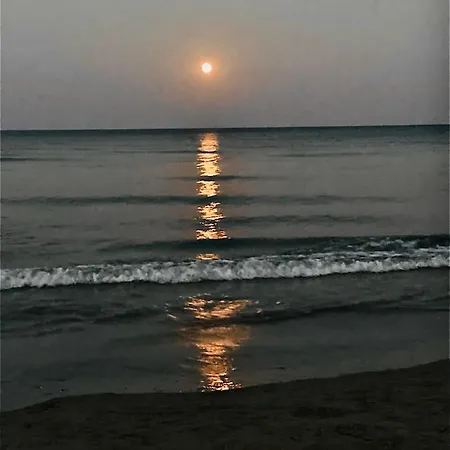 Lara 303 Lägenhet Larnaca